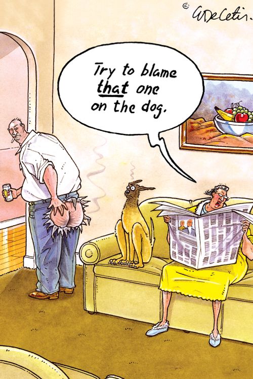 "Try to blame that one on the dog."