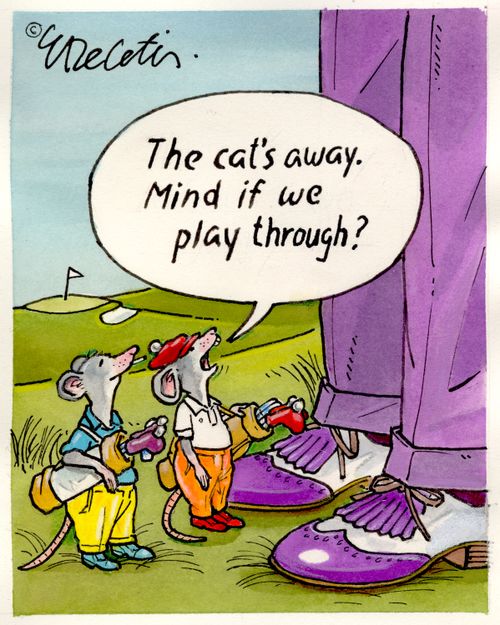 "The cat's away. Mind if we play through?"
