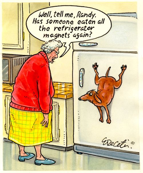 "Well, tell me, Randy. Has someone eaten all the refrigerator magnets again?"