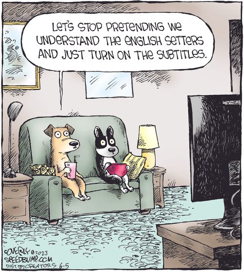 "Let's stop pretending we understand the English setters and just turn on the subtitles."