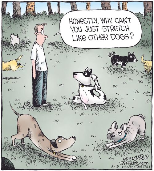"Honestly, why can't you just stretch like other dogs?"