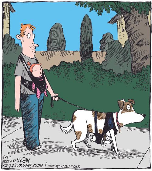 Baby Carriers