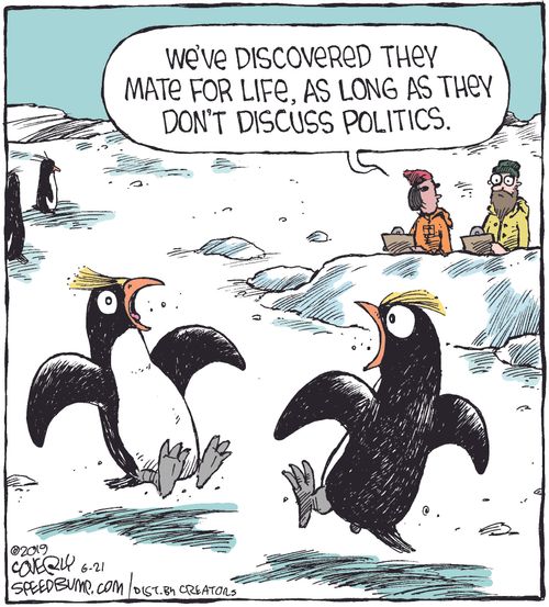"We've discovered they mate for life, as long as they don't discuss politics."