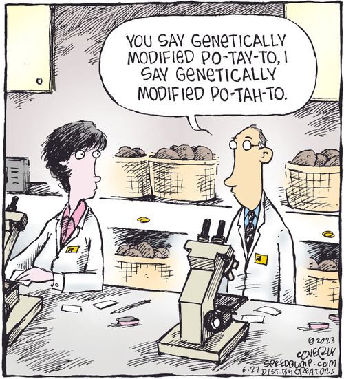 "You say genetically modified po-tay-to, I say genetically modified po-tah-to."