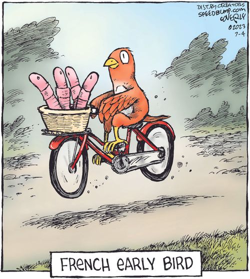 French Early Bird