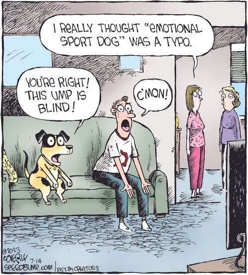 "I really thought 'emotional sport dog' was a typo."