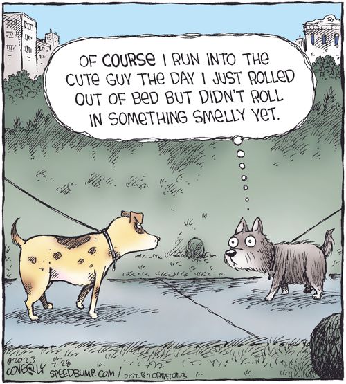 "Of COURSE I run into the cute guy the day I just rolled out of bed but didn't roll in something smelly yet."