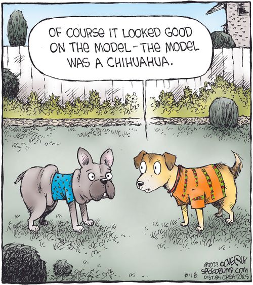 "Of course it looked good on the model - the model was a chihuahua."