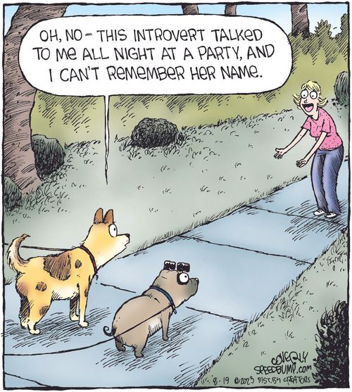 "Oh, no - this introvert talked to me all night at a party, and I can't remember her name."