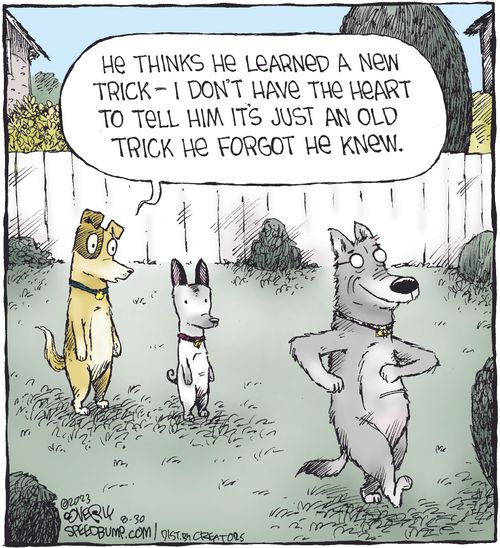 "He thinks he learned a new trick - I don't have the heart to tell him it's just an old trick he forgot he knew."