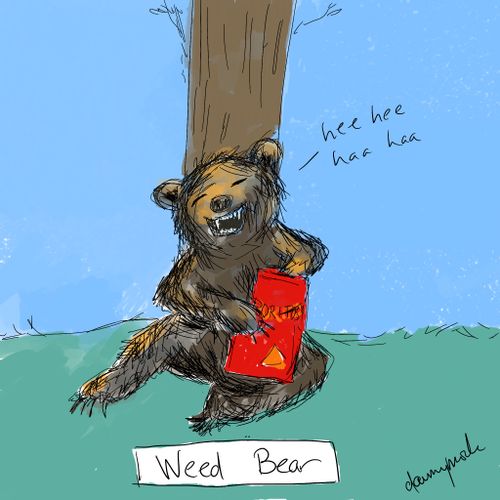 Weed Bear