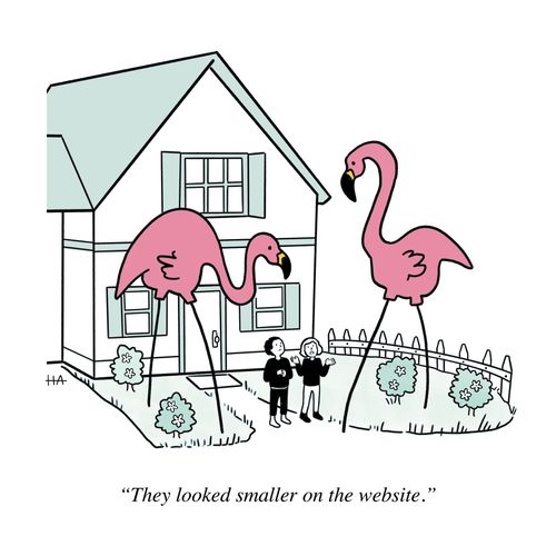 "They looked smaller on the website."