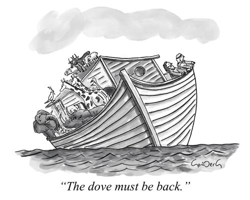 "The dove must be back."