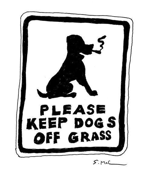 Please Keep Dogs Off Grass
