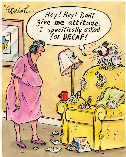 "Hey! Hey! Don't give ME attitude. I specifically asked for DECAF!"