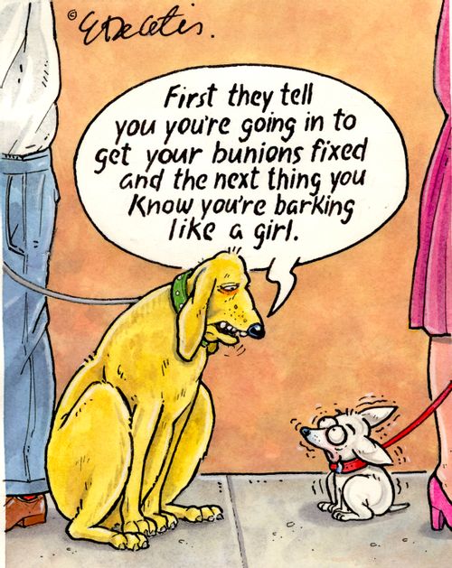 "First they tell you you're going in to get your bunions fixed and the next thing you know you're barking like a girl."