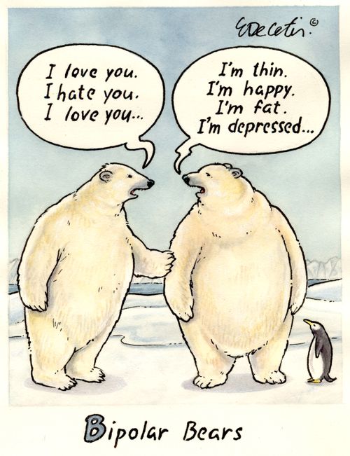 Bipolar bears.