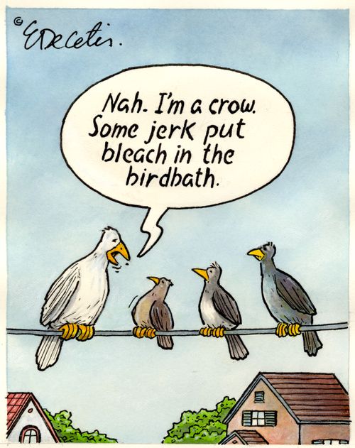 "Nah. I'm a crow. Some jerk put bleach in the birdbath."