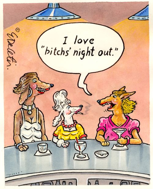 "I love 'bitch's night out'."