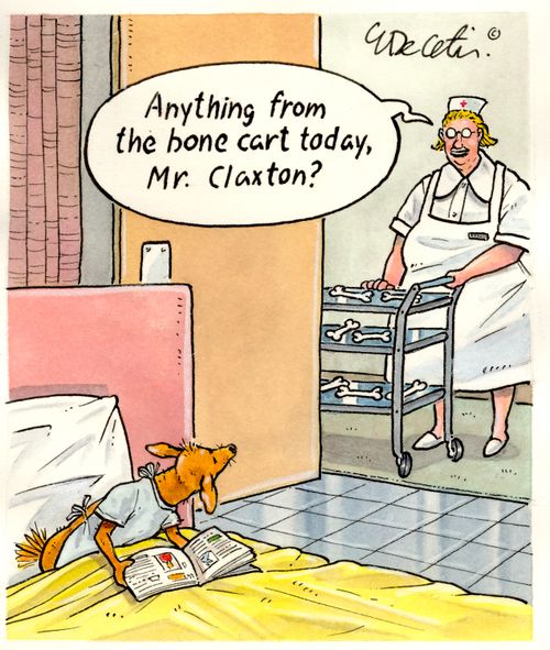 "Anything from the bone cart today, Mr. Claxton?"
