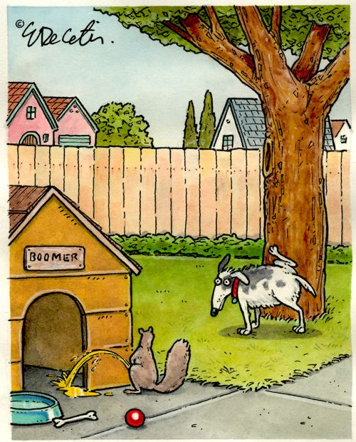 Whilst a dog is weeing at the base of a tree, a squirrel wees at the entrance of it's dog house.