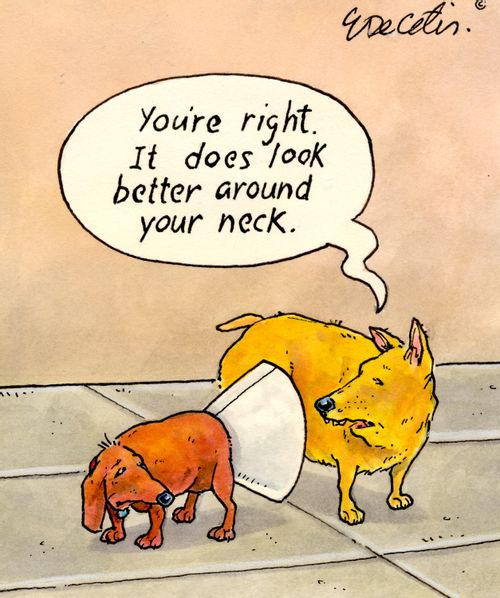 "You're right. It does look better around your neck."