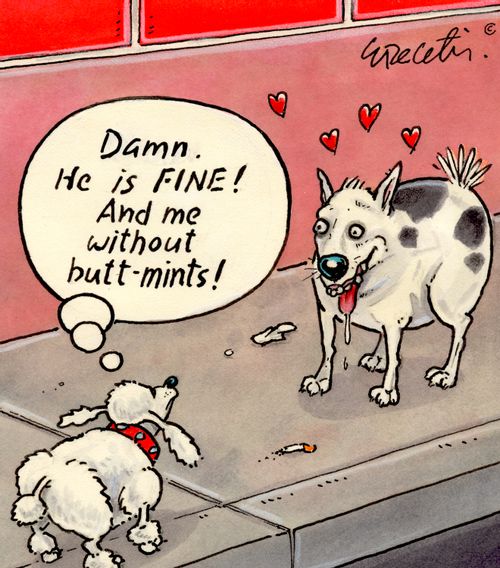 'Damn. He is FINE! And me without butt-mints!