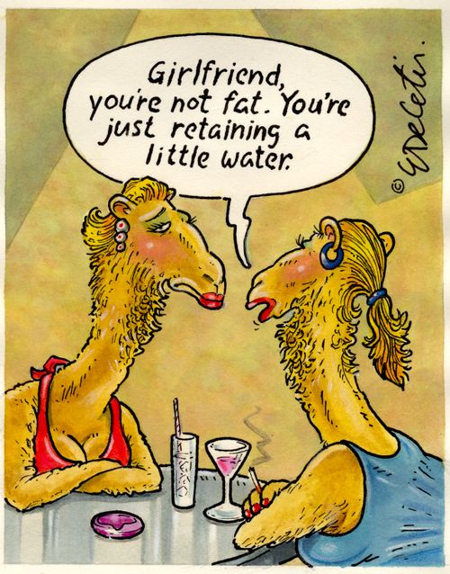 "Girlfriend, you're not fat. You're just retaining a little water."