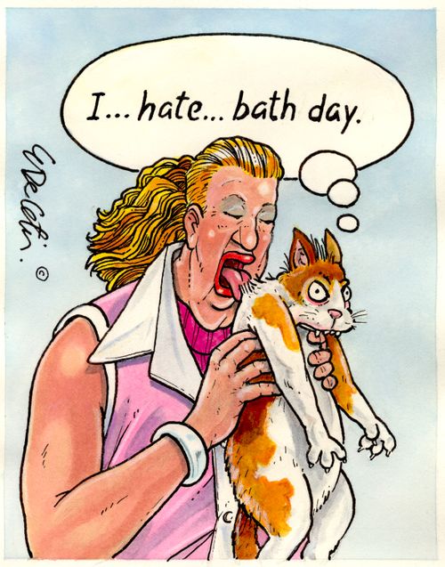 "I. . . hate . . . bath day."