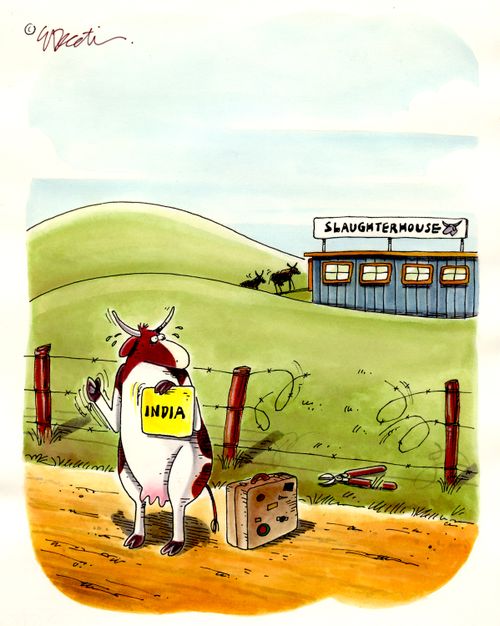 A cow is trying to hitchhike away from the slaughterhouse.