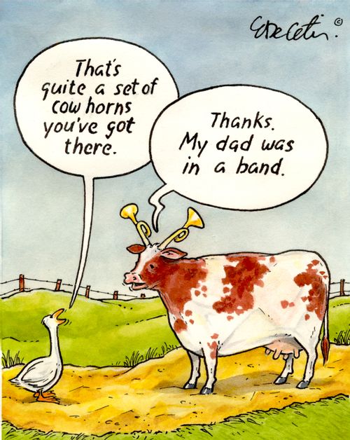 "That's quite a set of cow horns you've got there."