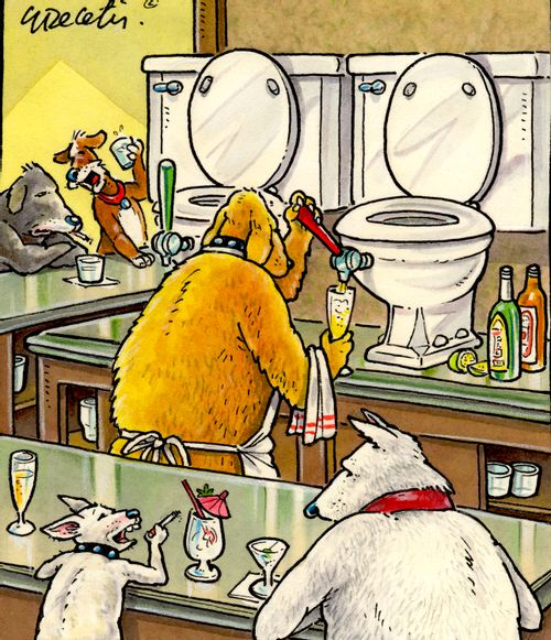 A bar for dogs