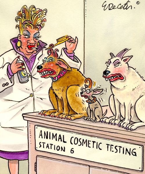 Animal cosmetic testing