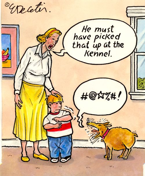 "He must have picked that up at the kennel."