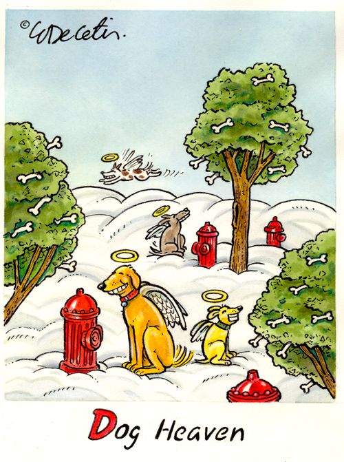 Dog Heaven