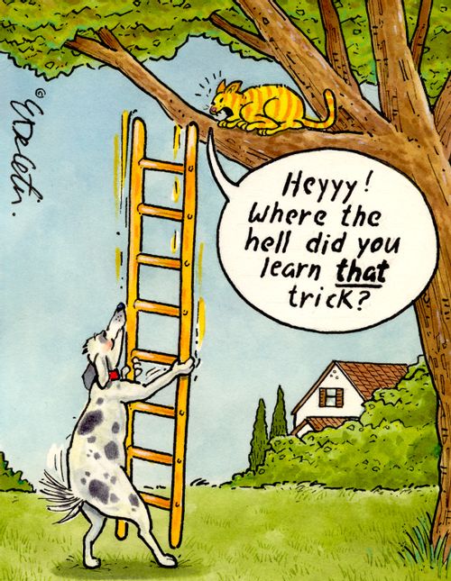 "Heyyy! Where the hell did you learn that trick?"