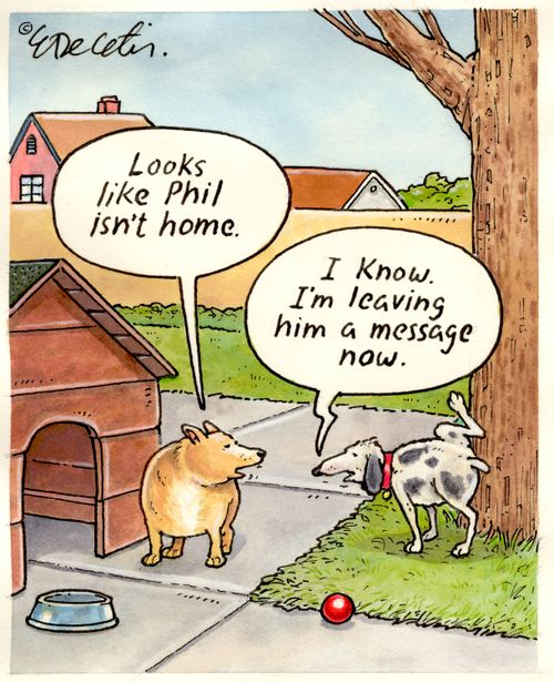 "Looks like Phil isn't home."