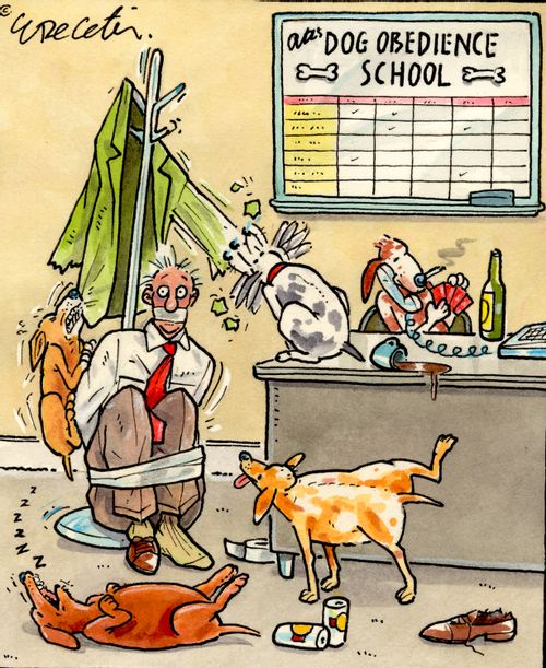 Dog obedience school