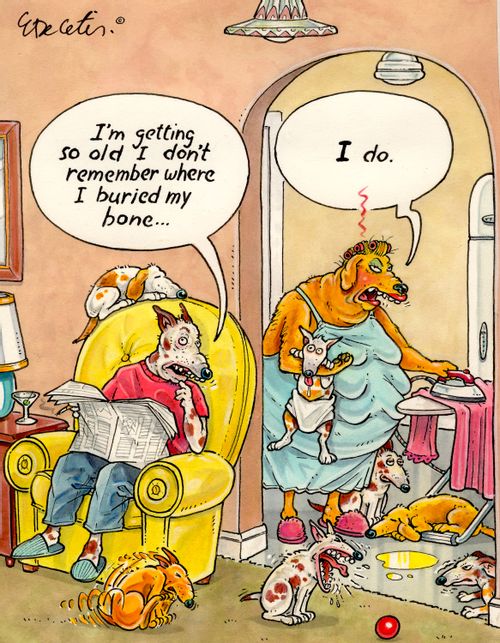 "I'm getting so old I don't remember where I buried my bone..."