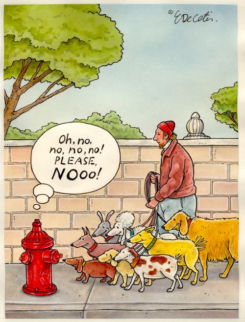 "Oh, no, no, no, no! Please, NOOO!"