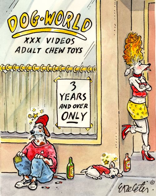 Dog World - XXX Videos/Adult Chew Toys