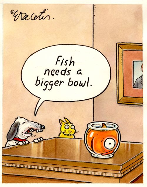 "Fish needs a bigger bowl."