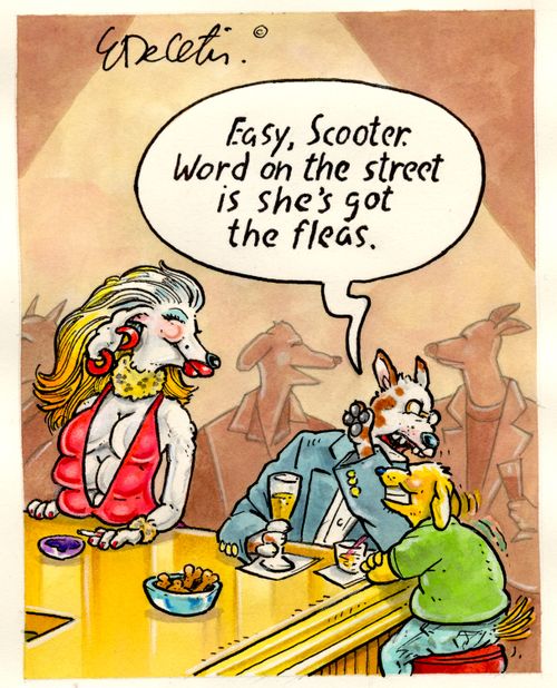 "Easy, Scooter. Word on the street is she's got the fleas."