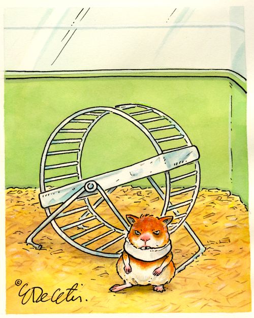 Grumpy Hamster