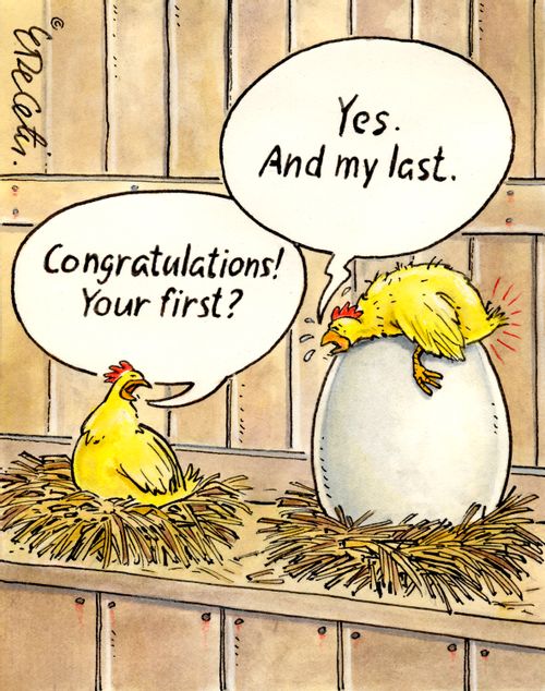 "Congratulations! Your first?"