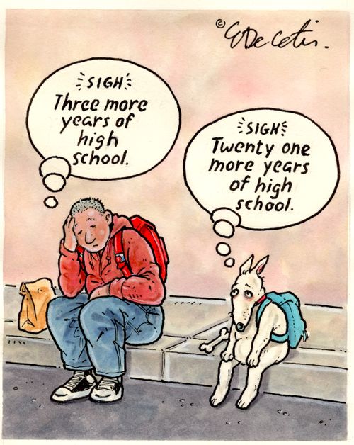 "Three more years of high school."