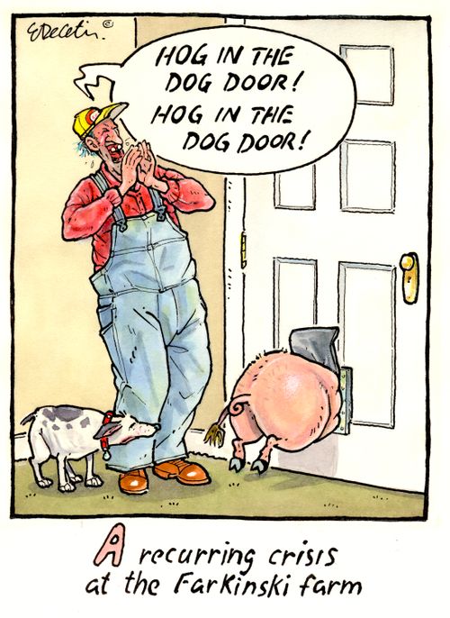 A recurring crisis at the Farkinski farm