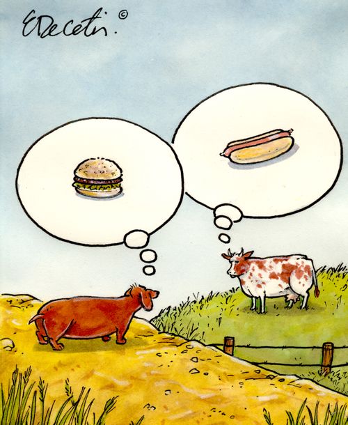 Hot Dogs and Burgers