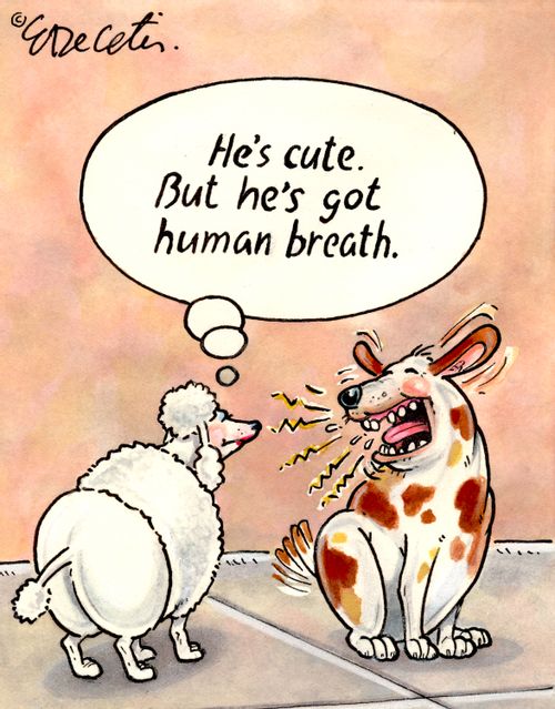 "He's cute. But he's got human breath."