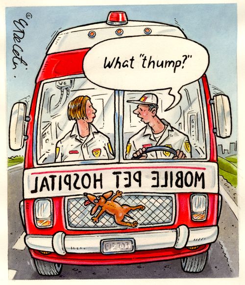 "What 'thump?'"